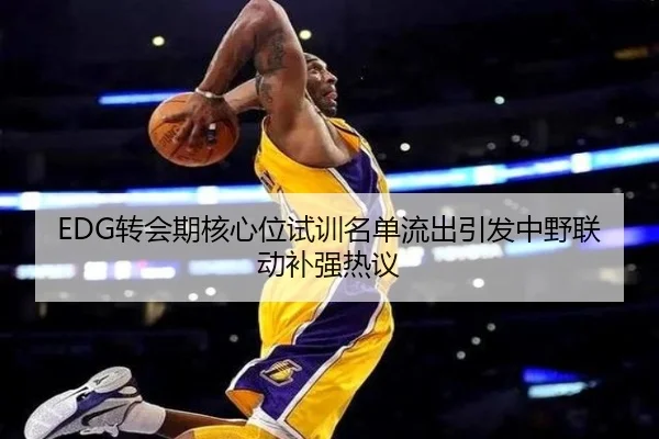 EDG转会期核心位试训名单流出引发中野联动补强热议